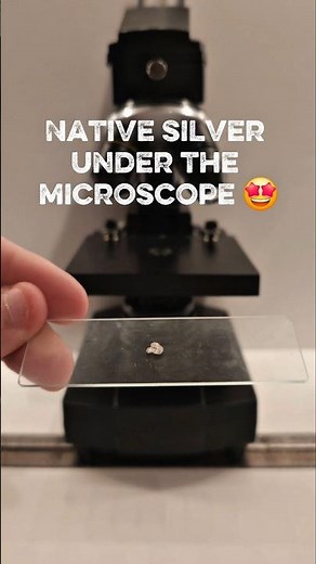 Microscopic observation of a native piece of silver #microscope #science #experiment