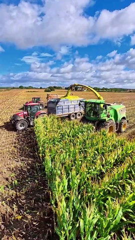 John Deere 9900i forage harvester at work