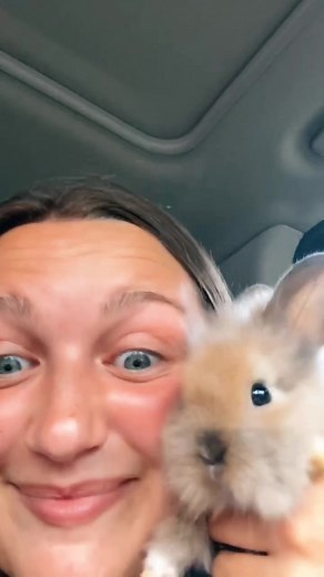 Meet Fendi Malone - Your New Adorable Lionhead Bunny Companion!