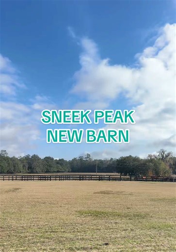 Explore My Favorite Features of the New Barn