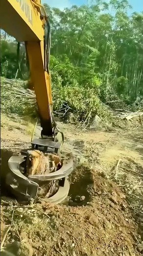 【Excavator Stump Removal】Hydraulic Grab Removes Stubborn Roots in Seconds!