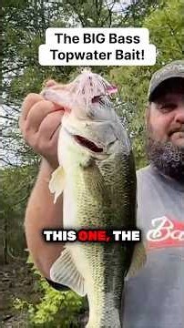 Big Bass Topwater Bait