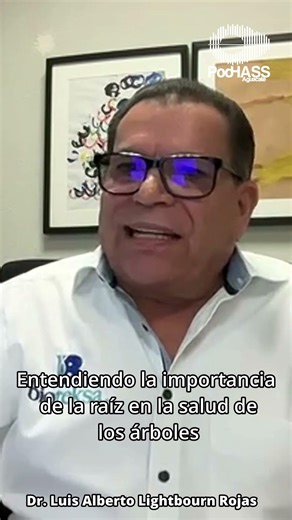 ¡¡Entendiendo la importancia de la raíz en la salud de los cultivos¡¡🥑☀♻💧🌳