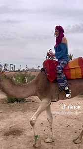 Exploring Marrakech: Camel Ride in La Palmerie