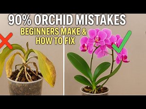 The 90% Orchid Growing Mistakes Beginners Make (and How to Fix Them)