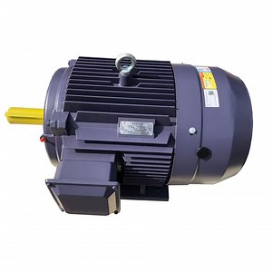 [Hot Item] 0.75-315kw Tefc-IP55 IEC Standard Three Phase Induction Electric AC Motor