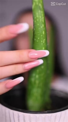 Videos de los bros 67 (@viki.cern) con “sonido original - los bros 67”