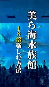 【お得に遊ぶ技】沖縄旅行で大人気の美ら海水族館を18倍楽しむ方法を公開《沖縄旅行・観光・旅行・Okinawa》#沖縄#沖縄旅行#旅行#旅#水族館#観光スポット#okinawa#trip#travel