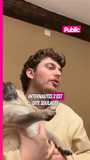 🚨 « Il nous a pris pour des c*ns » : Cyril affiche ses retrouvailles avec son chien Albert, kidnappé à son domicile quelques jours plus tôt, et fait face à une vague de cyberharcèlement #cyrilschreiner #actu #reseauxsociaux #people #actupeople #newspeople #public #celebrite #star #stars #gossip #actucelebrite #magazinepublic #public | Public
