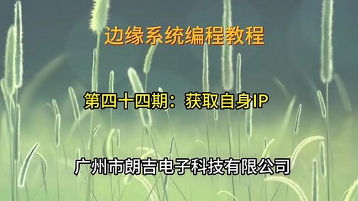 边缘主机取出自身IP地址 #PGMControl #panelcontrolpro #ipctrlpor #apctrlpor #广州郎吉电子科技