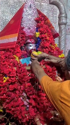 Jai Maa Tara ✨#maakali #shorts