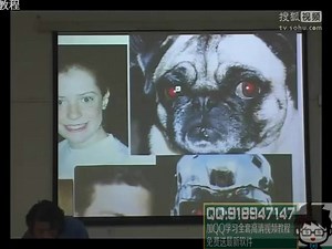 photoshop cs2从入门到精通ps矢量抠图_ai入门到精通