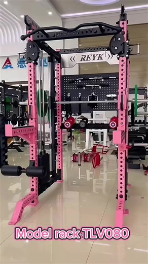 Home Gym Setup with TLV080 Model Equipment