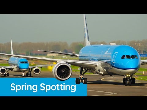 Spotting our KLM Aircraft at Amsterdam Airport Schiphol