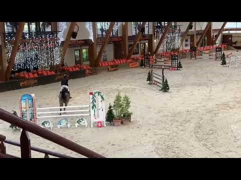 Cheval à vendre - Très belle jument CSO 140 - equirodi.com