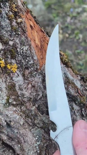 Нож против Дерева! Knife vs. Tree Day 18