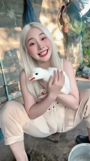 #duet cùng @trêu ghẹo cô