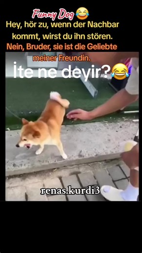 RMG_TV (@rmg_tv_)’s videos with orijinal ses - RMG_TV