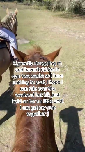 More in the desc (vent)