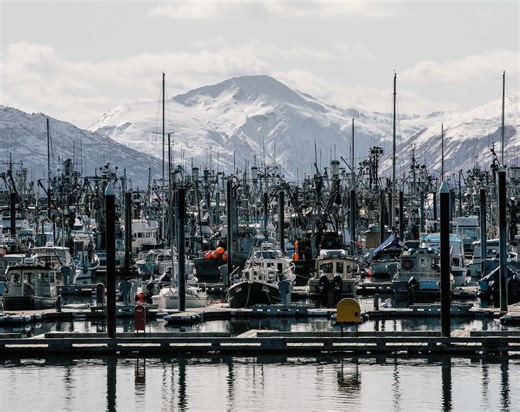 Kodiak Island Wildsource — Alaska's David and Goliath Story