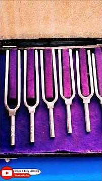 Tuning Fork | Acoustic Resonator | Musical Tone | Frequency | Physics | 256 C