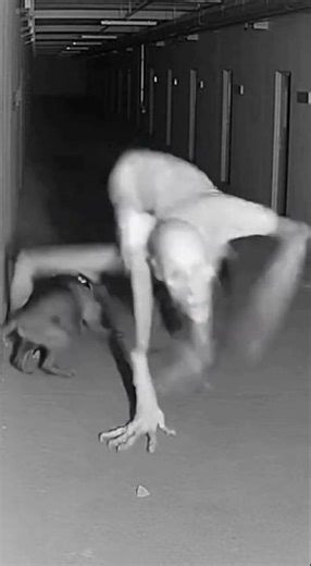 It GRABBED him! 😱 Skinwalker caught on Camera! #Shorts #Horror