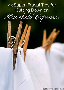 50 Surprising Ways to Cut Household Costs - The Survival Mom