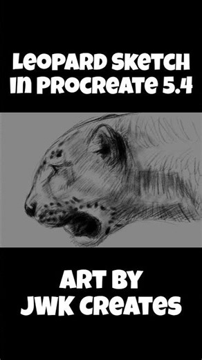 Procreate Leopard Sketch #art #drawing #procreate #animalart #leopard