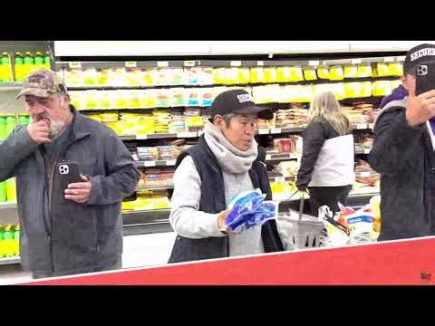 🚨 Queen Romana Jailed, Local Politics Heat Up | Medicine Hat Live OWL NEWS