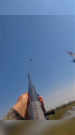 "OneFireTriple GooseHunt""Epic Shot–3 Geese inOne Hit"#untitledgoosegame#goose #goosechase#wildgeese