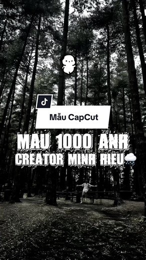 Điều Anh Biết Remix - Mẫu CapCut 2 Ảnh (MinzHieu x Tuấn Siêu)