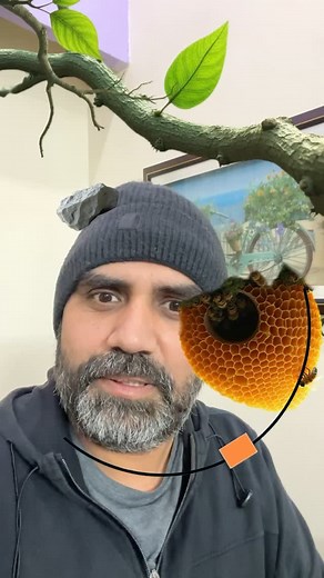 Honey Bee Hive Puzzle #honeybee #honeybeepuzzle #beehive #puzzle | Sandeep Kumar