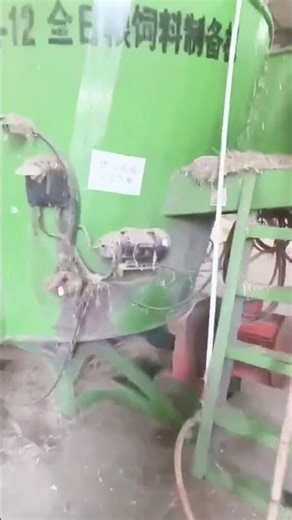 Real TMR Feeding Process on Farm | Loader Feeding + Inside Mixing Details
