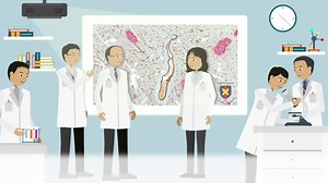 1.2K views | Beyond Glucose: a beta-cell centric approach to prevent Type 2 Diabetes Professor Yoshifumi Saisho’s research focuses on beta cell dysfunction in type 2 diabetes (T2DM). He advocates for moving the focus away from glucose levels and towards protecting pancreatic beta cell mass - the cells which produce insulin - to prevent patients from developing T2DM and to promote a healthy lifestyle. Learn more now: | Sci Ani | Facebook