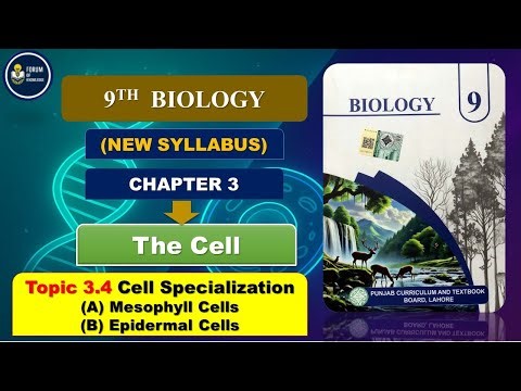 9th class biology new book ||chp # 3 || Cell Specialization (A) Mesophyll Cells (B) Epidermal Cells