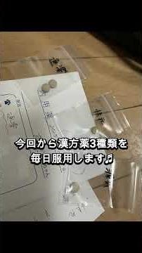 6回目の鍼灸治療へ💖 漢方薬始めます💟内容は？❤️‍🩹下半身麻痺猫あいかなちゃん🐈‍⬛肥大型心筋症猫ごまだんごくん#あいかな#ごまだんご#下半身麻痺猫#心臓疾患猫#鍼灸治療#クラファン