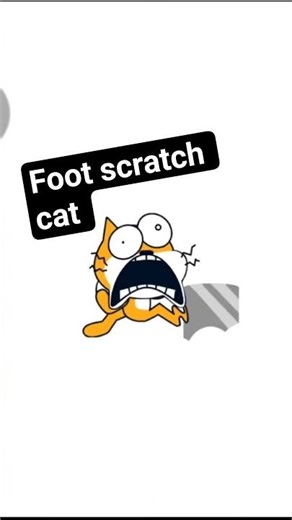 #scratch scratch cat foot rock