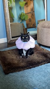 1.9K views · 154 reactions | So proud of my (14-year-young) baby...