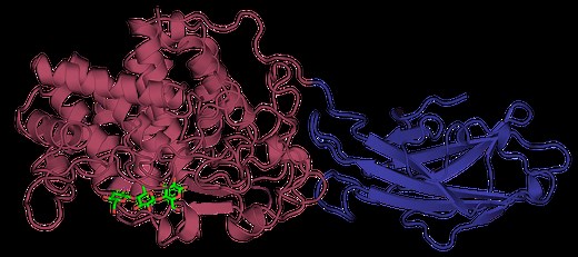 Enzyme-Assisted Extraction