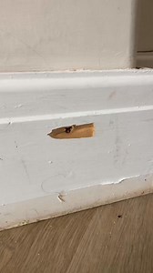 1.9M views · 4K reactions |  Another job for free 勞 #flooring #howto #pov #diy #tips #tricks #teirnanmccorkell #flooringinstaller #manchester #fyp #fup | Solutions Made Easy | Facebook