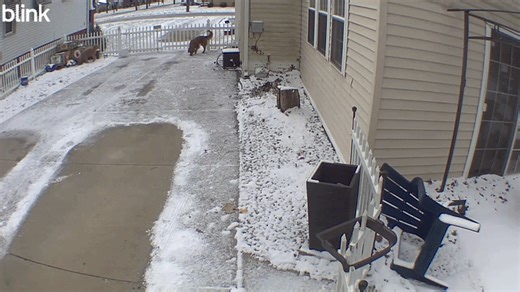 Passing Meteor's Sonic Boom Shakes Ohio Home