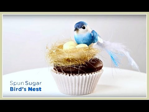 Spun Sugar Nest Isomalt Decoration by Chef Charity | Project Cupcake Craftsy Cake Decorating