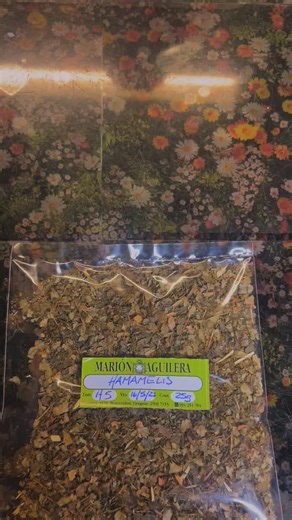 3.2K views · 748 reactions | Hamamelis Virginiana- planta por excelencia para muchos aspectos del sistema circulatorio. Pero sabías también que es buena para las diarreas ? Y que alivia golpes y torceduras? Y muchos usos más que te cuento en este video herbal del amor. Pd- no podes tomarla si estás bajo uso de medicamentos anticoagulantes o circulatorios. Siempre consulta con tu médico de confianza 殺殺殺殺❤️❤️ | Herboristería Marión Aguilera | Facebook