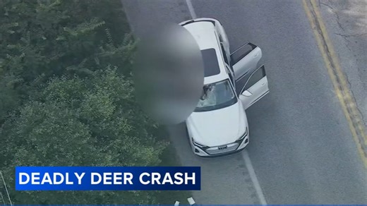 Malvern Prep student ID'd after being killed in freak accident involving deer in Chester County