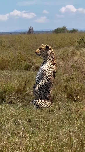 Standing ovation! | Moochi Kaneba