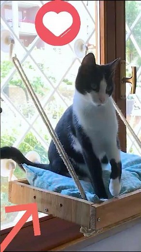 How to Make a Window Perch for Your Cat #perch