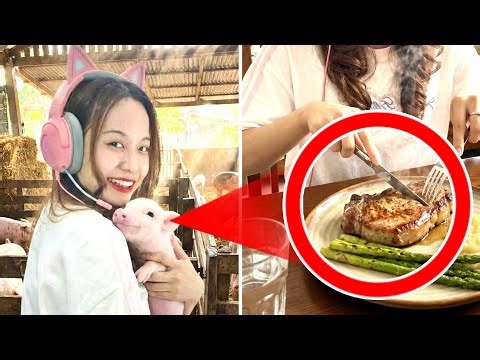 Aku Rawat Babi Buat Aku Makan?!