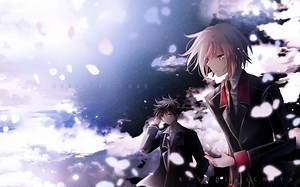 【ED】Qualidea Code