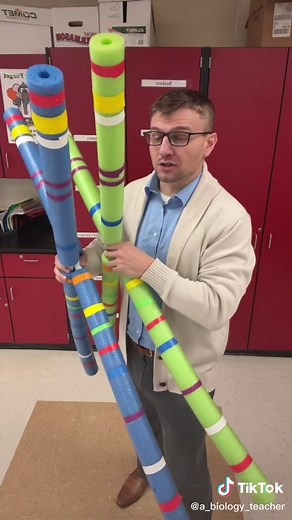 Understanding the Structure of a Chromosome in Biology