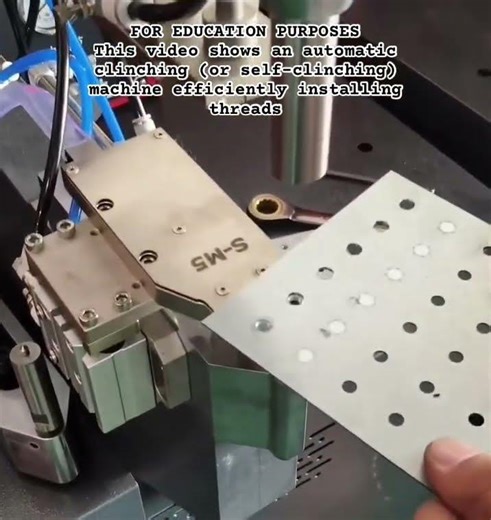 Automatic Clinching Machine #shorts #Manufacturing #SheetMetal #Fabrication #IndustrialAutomation